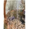 Image 2 : CRYSTAL TREE GIFT BASKET RETAIL $1,989