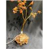 Image 1 : MIXED CRYSTAL TREE APPROX 8 X 3" RETAIL $194