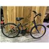 Image 2 : RALEIGH SUNDOWNER 15 SPEED BICYCLE