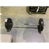 Image 2 : CURL BAR WITH 2 25LBS SAND PLATES & 2 10 LBS PLATES