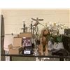 Image 1 : ASSORTED ITEMS INCLUDING; METAL BIRDS, WOOD DOG, FAUX PLANTS & MORE