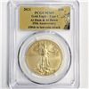 Image 1 : 2021 $50 1oz A.G.E. PCGS MS69 35th Anniv