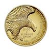 Image 2 : 2019 American Liberty High Relief Gold Coin