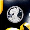 Image 1 : 2020 1oz American Silver Eagle Proof