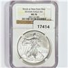 Image 1 : 2014-W American Silver Eagle NGC MS70