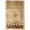 Image 1 : Ute Pass to Leadville Stereoview Trio [155425]