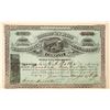 Image 1 : Colorado-New Mexico Smelting Co. Certificate [128105]
