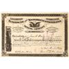 Image 1 : Early Penobscot & Snowdrift Consolidated Mining Company Stock, Marysville, Montana [123880]