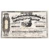 Image 1 : Buena Vista G&S Stock, Prince Royal District, Humboldt Co. N.T., 1863 [144471]