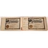 Image 1 : Arcola Oil Co. Stock Book, issued & cancelled [141133]