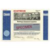 Image 1 : Eastman Chemical Co., (From Eastman-Kodak), 1993, Specimen Stock Certificate