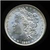 Image 1 : 1887 Morgan Dollar Choice+ Uncirculated (COI-4093)