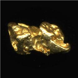 Gold Nugget 66 Grains Pure 22-24K (COI-5199)