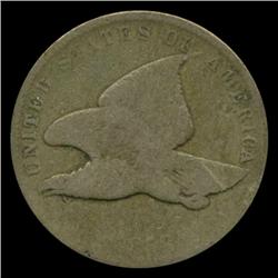 1858 Flying Eagle Cent Small Letters Better Grade (COI-5259)