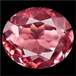 1.81ct   Magically Clean Natural Pink Tourmaline Gem (GEM-14384)