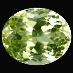 29.3ct Gorgeous Yellow Natural Kunzite Spodumene  (GEM-15807)