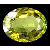 Image 1 : 2.60ct Appealing Oval Cut Green Tourmaline  (GEM-16904)