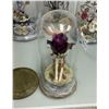 Image 2 : UW2 - Group of Four Halloween set dec in glass Cloche