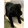 Image 1 : Melissa & Doug dog from Turner and Hooch