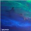 Image 2 : Pending Info by Wyland Original