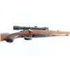 Image 8 : Custom Mauser 98 8mm NVSN