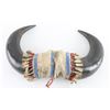 Image 1 : Pair Of Buffalo Horns