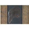 Image 1 : Framed Leather Chief