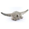 Image 1 : Ancient Fossil Of Bison Skull