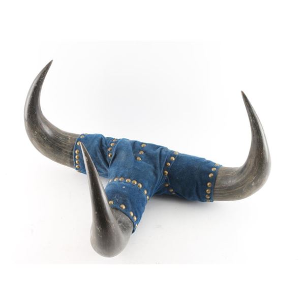 Three Joint Buffalo Horns