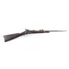 Image 1 : U.S. Springfield M1884 Carbine 45/70 SN: 418284