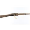 Image 9 : Germanic Military Musket