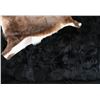 Image 2 : Lot Of Two Hides