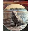 Image 2 : Plates - Owls (A2007)