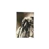 Image 1 : Large Print American Horse Oglala Sioux