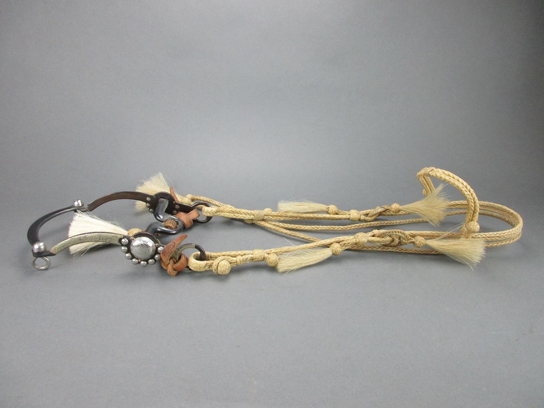 Rawhide Headstall Overlaid Bit- California Cheek- Copper Inlaid Frog ...
