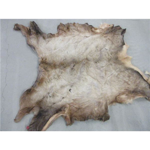 Tanned Elk Hide- Approximately 55" X 50"