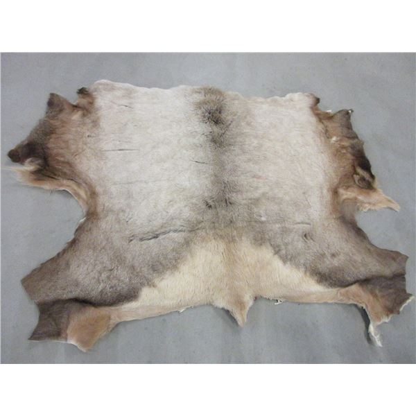 Tanned Elk Hide- Approximately 65" X 48"