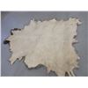 Image 2 : Very Large Tanned Elk Hide- Good Condition