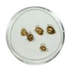 Image 1 : Lot of Gold Nuggets 2.21 Grams Total Weight