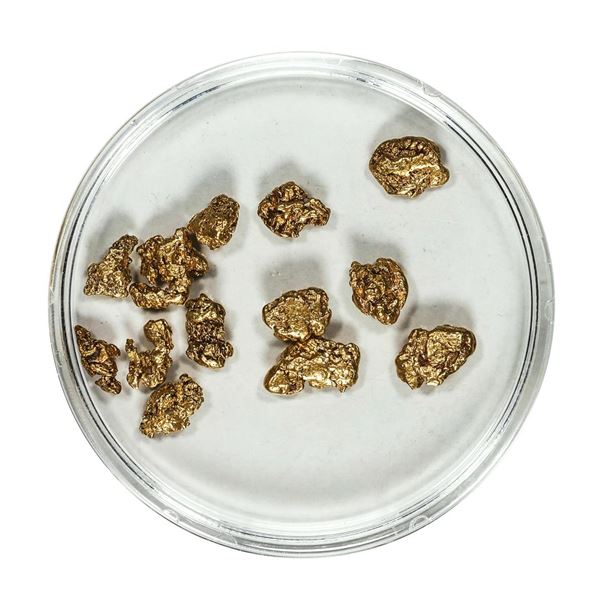 Gold Nuggets 4.06 Grams Total Weight