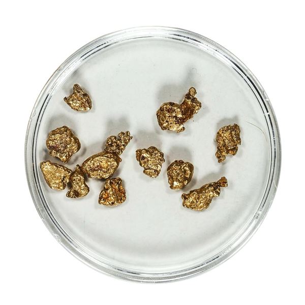 Gold Nuggets 3.85 Grams Total Weight