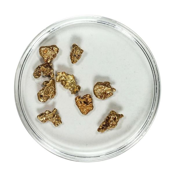 Gold Nuggets 3.09 Grams Total Weight