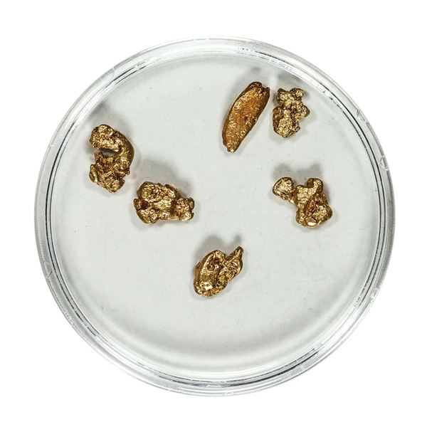 Gold Nuggets 2.55 Grams Total Weight