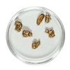 Image 1 : Gold Nuggets 2.55 Grams Total Weight
