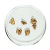 Image 1 : Gold Nuggets 1.96 Grams Total Weight