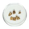 Image 1 : Gold Nuggets 2.25 Grams Total Weight