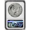 Image 2 : 1993-P $1 Proof American Silver Eagle Coin NGC PF69 Ultra Cameo