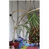 Image 1 : VERY LARGE POTTED PLANT