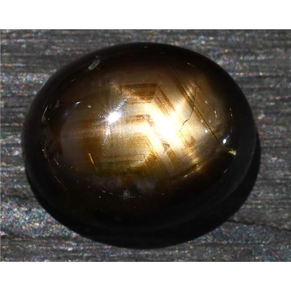 11.53 CT NATURAL BLACK STAR SAPPHIRE GEMSTONE