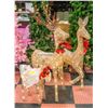 Image 1 : NEWLY BUILT LITE DEER OUTDOOR ORNAMENTS